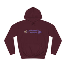 Load image into Gallery viewer, Spotted Arrow Unisex College Hoodie